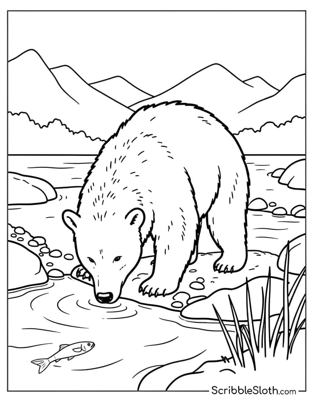 Bear Crouching by Stream