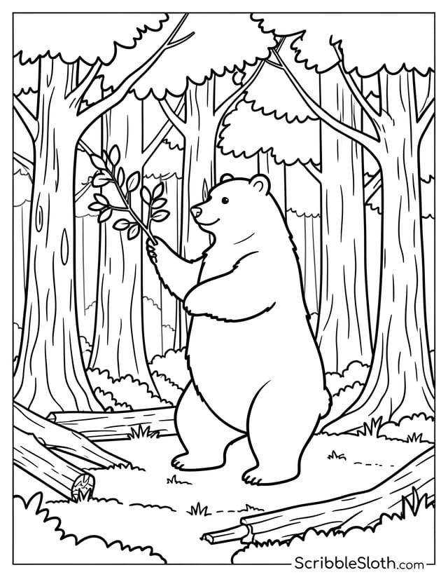 Bear Reaching in Forest Clearing
