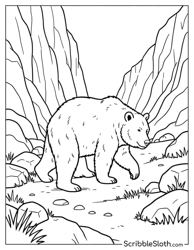 Bear Walking Mountain Path
