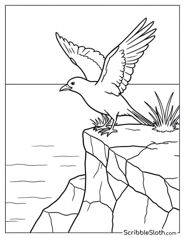 Bird at Cliff Edge