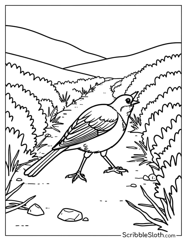 Bird Hopping Along Path