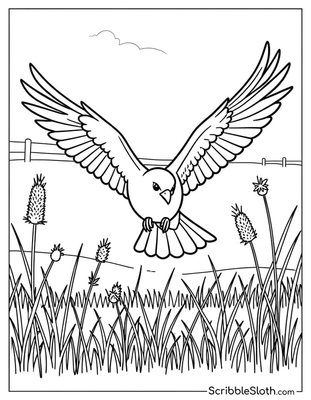 Bird in Mid-Flight Over Meadow