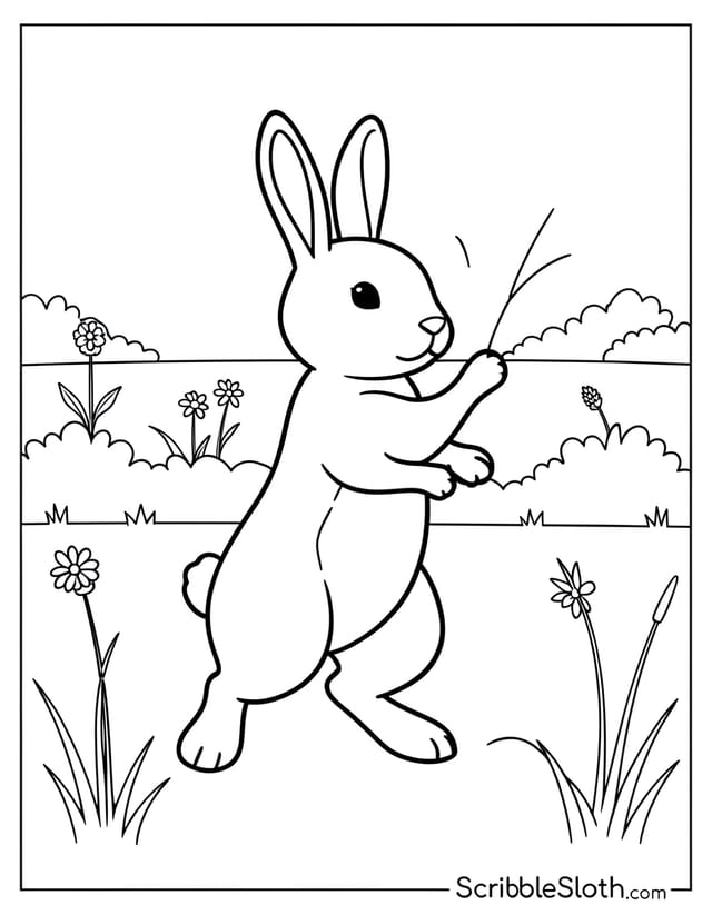 Bunny Hopping Through Meadow