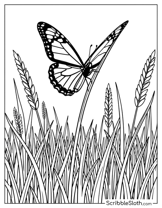 Butterfly Among Tall Grass in Field