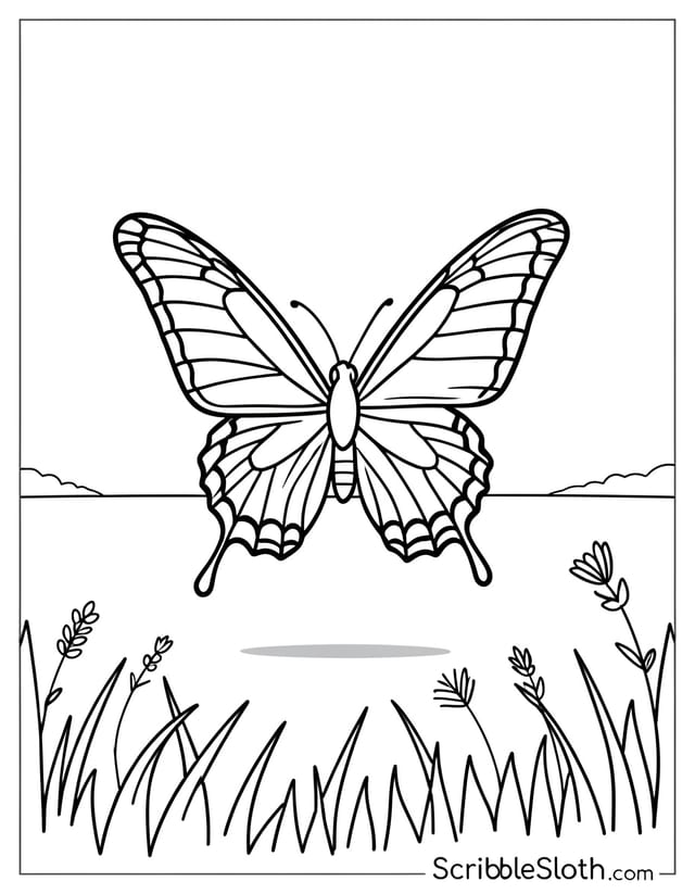 Butterfly Mid-Flight Over Meadow