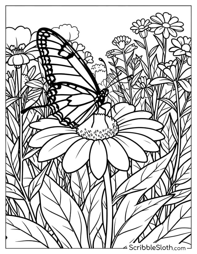 Butterfly Perched on Flower in Garden