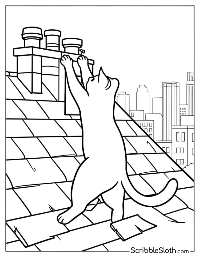 Cat Stretching on Rooftop