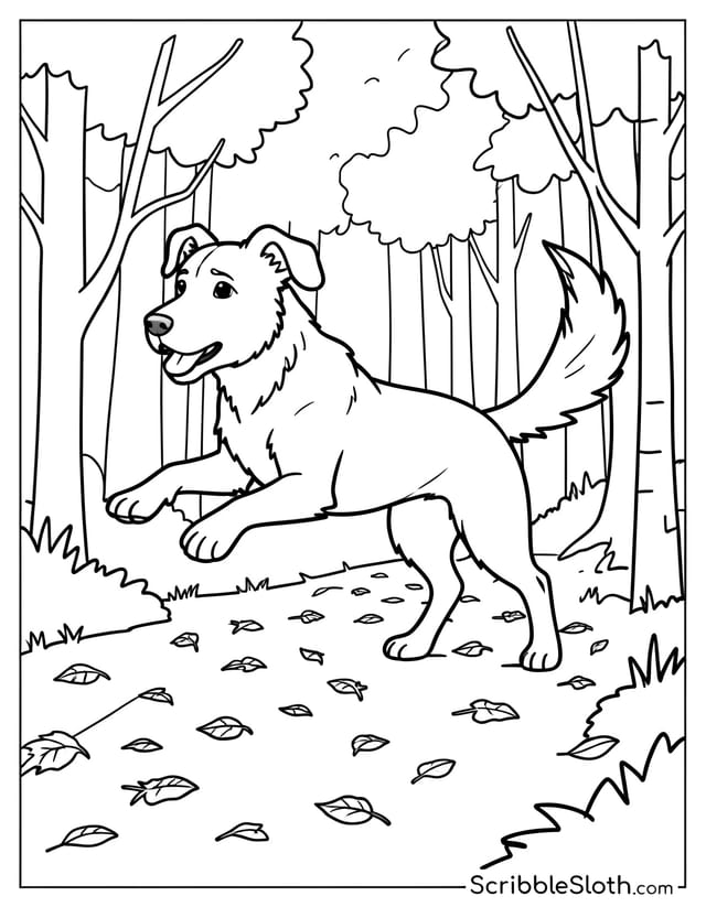 Dog Leaping Along Forest Path