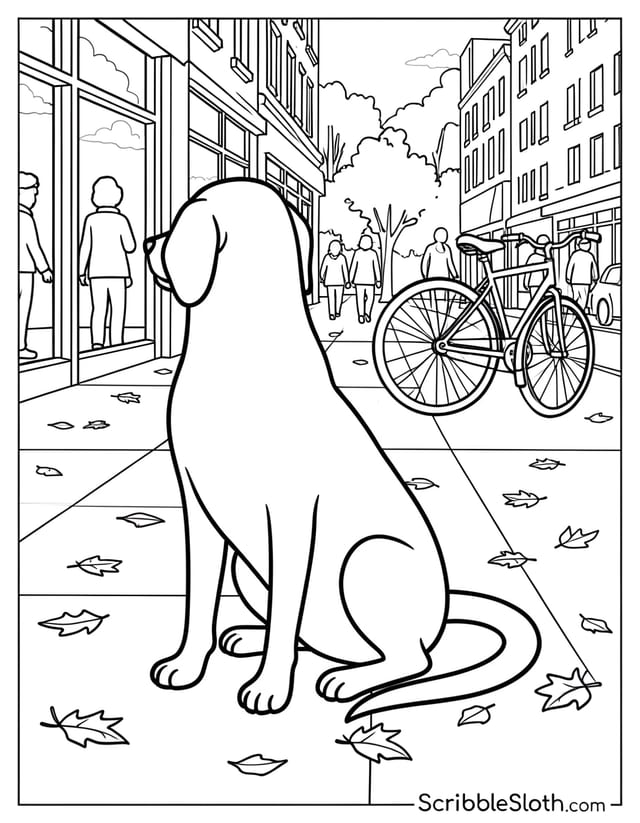 Dog Sitting on City Sidewalk
