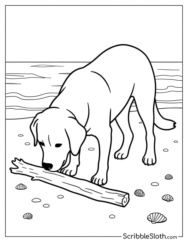 Dog Sniffing Driftwood on Beach