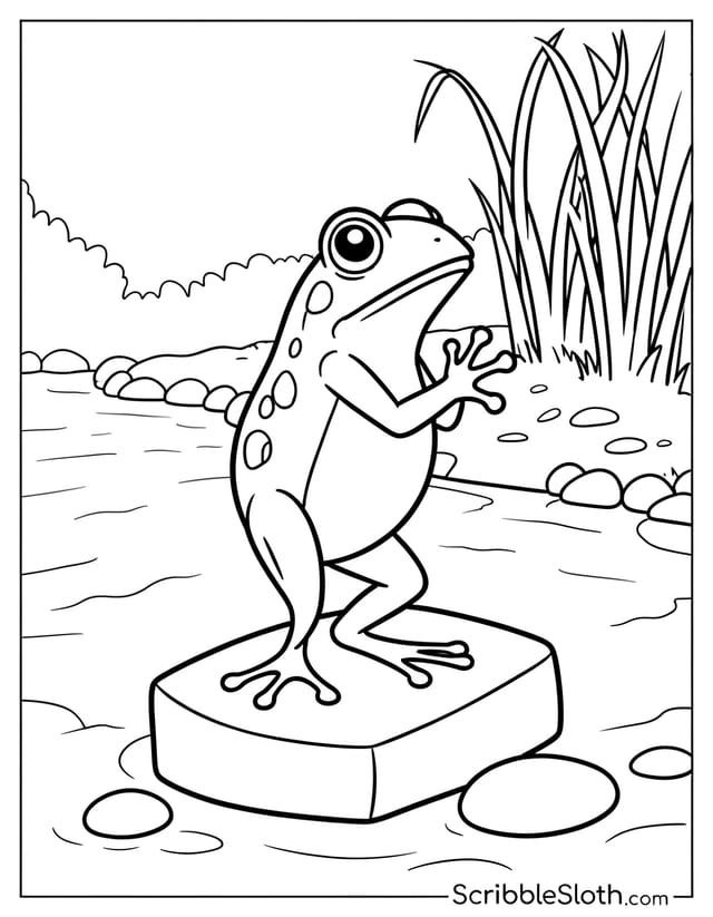 Frog Balancing by Stream