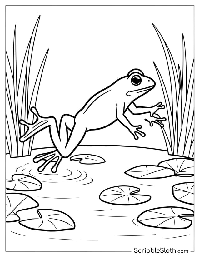 Frog Leaping Over Pond