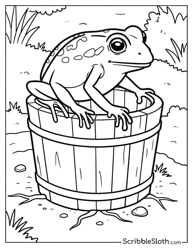 Frog Perched on Wooden Bucket