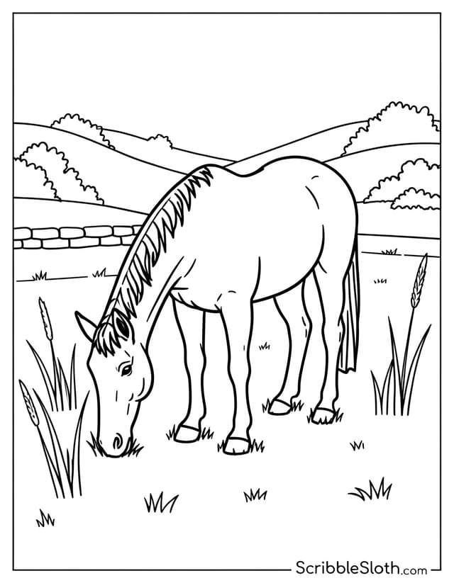 Grazing Horse in Open Pasture