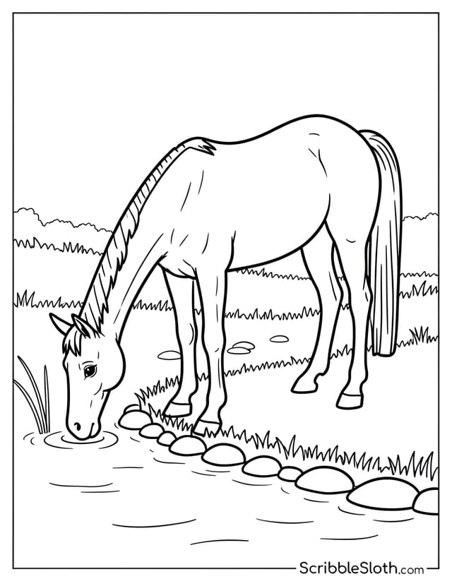 Horse Drinking at Stream Edge