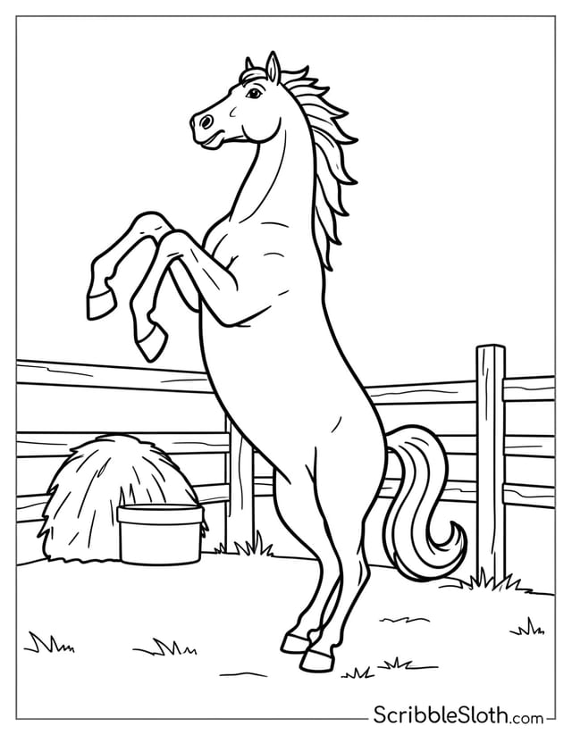 Horse Rearing in Barnyard