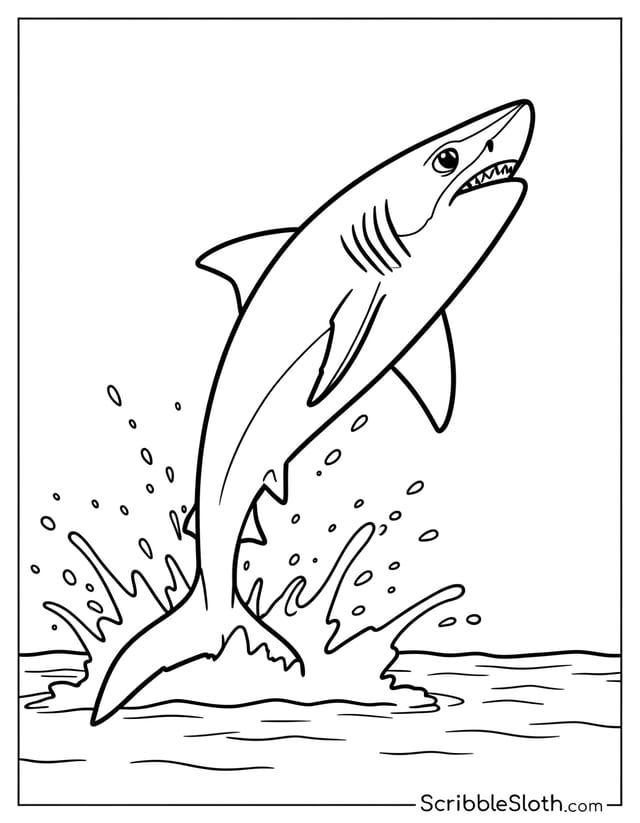 Breaching Shark
