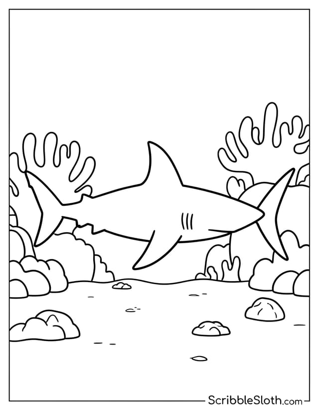 Shark Among Reef Outcrops