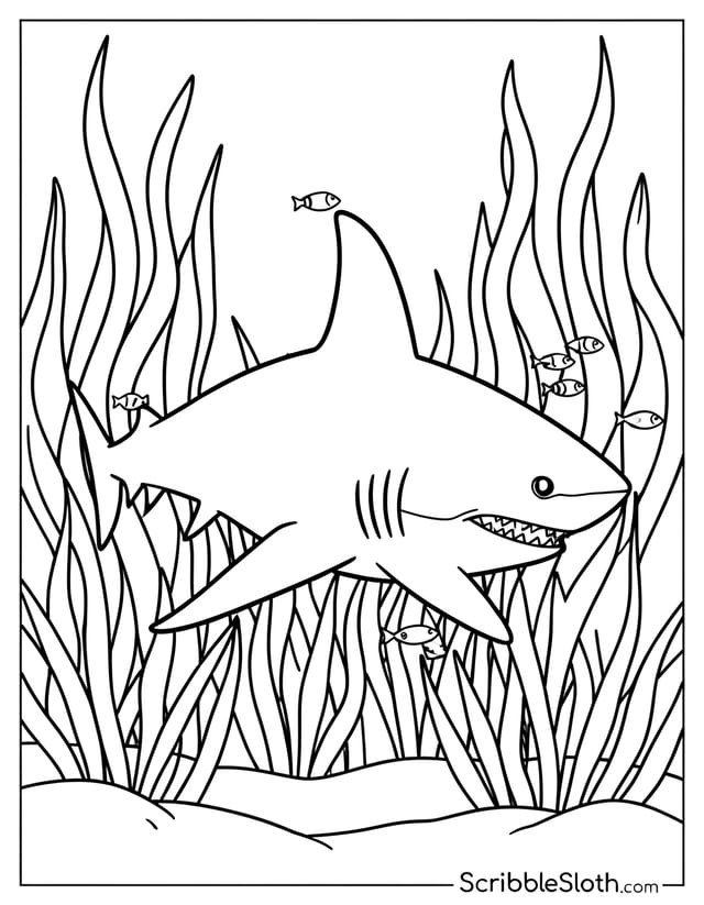 Shark Gliding Past Kelp