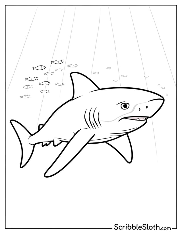 Shark in Open Water Column